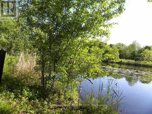 22 Water Street, Kawartha Lakes (Lindsay), ON - Outdoor With Body Of Water With View