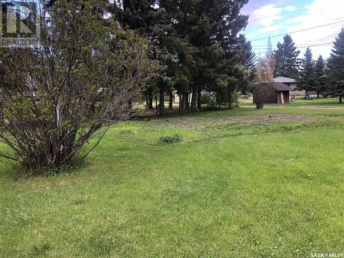 401 1St Avenue E, Buchanan, SK - Outdoor