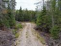 Land/Lot - Ch. Lavoie, Amherst, QC 