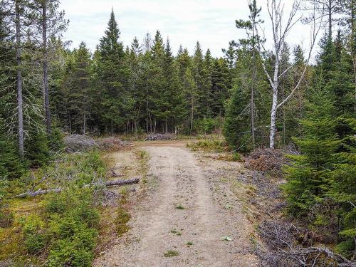 Land/Lot - Ch. Lavoie, Amherst, QC 