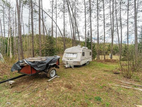 Land/Lot - Ch. Lavoie, Amherst, QC 