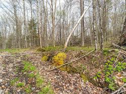 Land/Lot - 