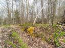 Land/Lot - Ch. Du Lac-Winnetou, Amherst, QC 