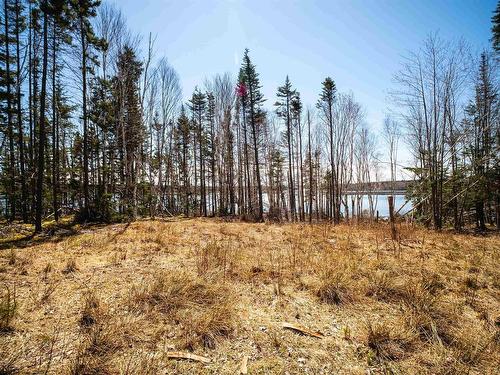 Lot 1E Marble Mountain Road, Malagawatch, NS 