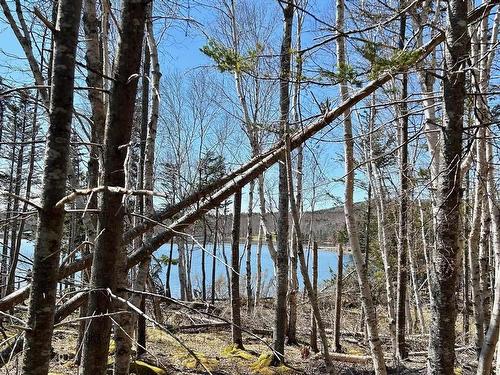 Lot 1E Marble Mountain Road, Malagawatch, NS 