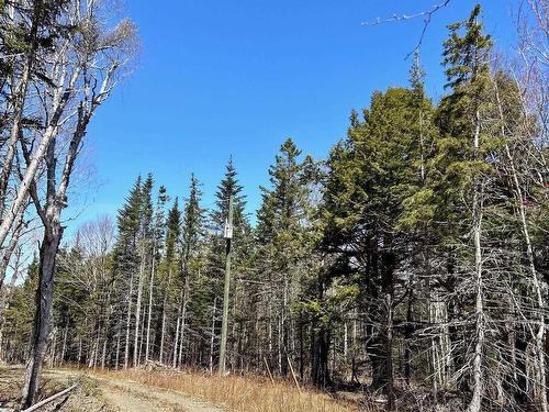 Lot 1E Marble Mountain Road, Malagawatch, NS 