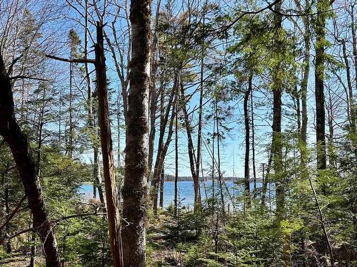 Lot 49 Redbird Drive, Malagawatch, NS 