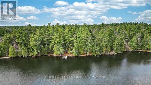 100 Island 12, Havelock-Belmont-Methuen, ON - Outdoor With Body Of Water With View