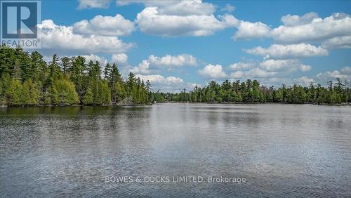 100 Island 12, Havelock-Belmont-Methuen, ON - Outdoor With Body Of Water With View