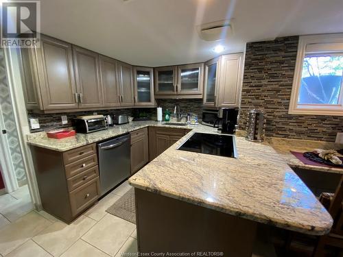 181 Janette Unit# Lower, Windsor, ON - Indoor Photo Showing Kitchen With Double Sink