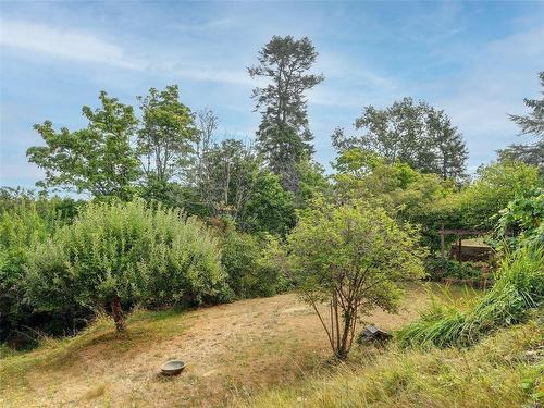 736 Jasmine Ave, Saanich, BC - Outdoor With View