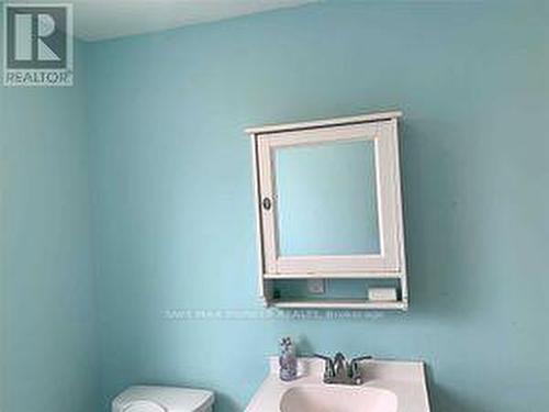 66 John Street, Brampton, ON - Indoor Photo Showing Bathroom