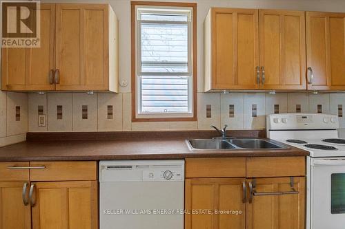 203 Quebec Street, Oshawa, ON - Indoor Photo Showing Kitchen With Double Sink