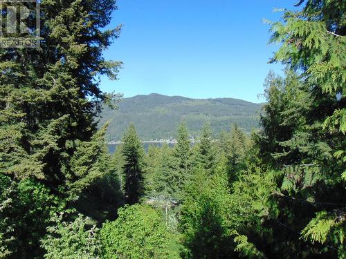 2406 Forest Drive, Blind Bay, BC - Outdoor With View