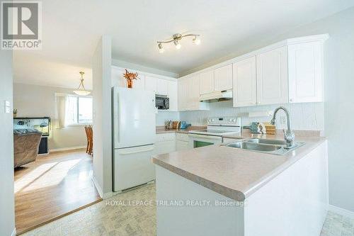 54 Ponsford Place, St. Thomas, ON - Indoor Photo Showing Kitchen With Double Sink