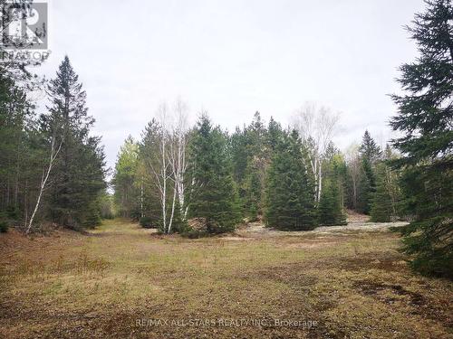 0 Penzance Trail, Highlands East, ON 