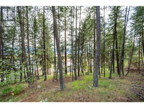 3138 Shetler Drive, West Kelowna, BC - Outdoor With View