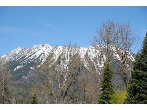 47 Slalom Drive, Fernie, BC - Outdoor With View
