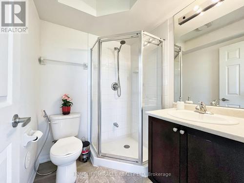 227 - 250 Sunny Meadow Boulevard, Brampton, ON - Indoor Photo Showing Bathroom