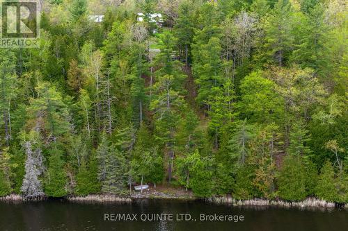 583 Lahey Road, Centre Hastings, ON - Outdoor With Body Of Water