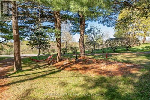 3374 Elm Tree Road, Kawartha Lakes, ON - Outdoor With View