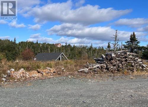 46 Tillers Trail Bull Pond, Brigus Junction, NL 