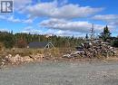 46 Tillers Trail Bull Pond, Brigus Junction, NL 