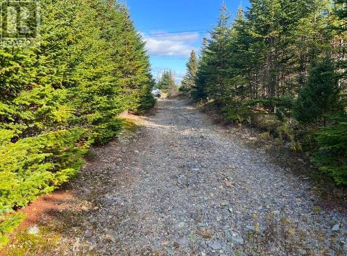 46 Tillers Trail Bull Pond, Brigus Junction, NL 