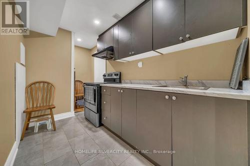 425 Woodbine Avenue, Kitchener, ON - Indoor Photo Showing Kitchen