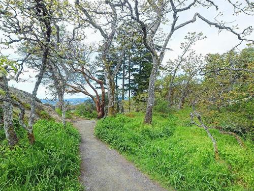 1690 Ash Rd, Saanich, BC - Outdoor With View