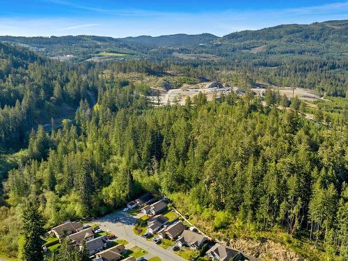 1050 Fitzgerald Rd, Shawnigan Lake, BC - Outdoor With View