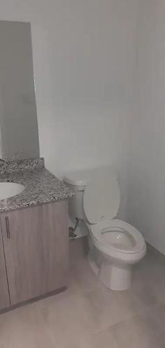 16 Markle Crescent|Unit #313, Hamilton, ON - Indoor Photo Showing Bathroom