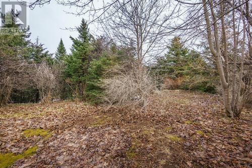 9 Witch Hazel Road, Heart'S Delight, NL - Outdoor With View
