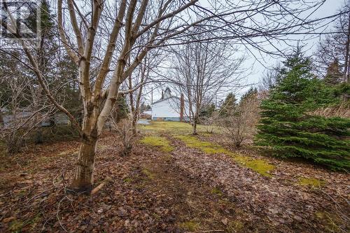 9 Witch Hazel Road, Heart'S Delight, NL - Outdoor With View