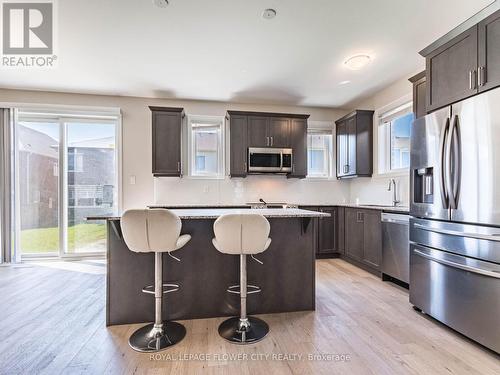 22 William Nador Street, Kitchener, ON - Indoor Photo Showing Kitchen With Upgraded Kitchen