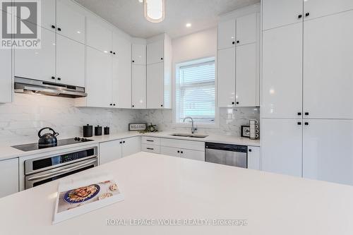 540 Nathalie Crescent, Kitchener, ON - Indoor Photo Showing Kitchen With Upgraded Kitchen