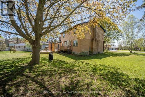 12 Fenwood Crescent, Prince Edward County, ON - Outdoor
