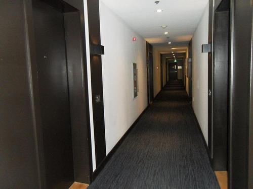 Hall - 801-1211 Rue Drummond, Montréal (Ville-Marie), QC - Indoor Photo Showing Other Room