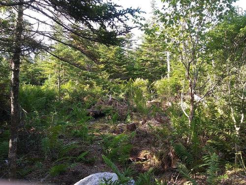 Lot 7 129 Kaakwogook Way, Clam Bay, NS 