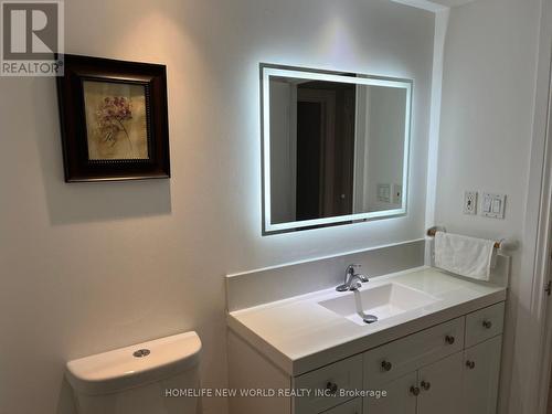 49 Beath Street, Toronto, ON - Indoor Photo Showing Bathroom