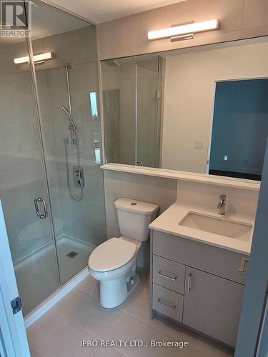 #105 - 291 Queens Avenue, Oakville, ON - Indoor Photo Showing Bathroom