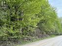 12082 Land O'Nod Road, Merrickville-Wolford, ON 