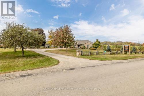 5174 Concession Road 4, Adjala-Tosorontio, ON - Outdoor With View