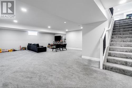 22 Olive Drive, Leamington, ON - Indoor Photo Showing Basement