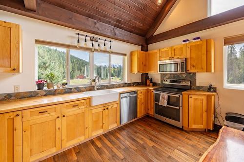2042 Blaeberry Road, Golden, BC - Indoor Photo Showing Kitchen With Double Sink
