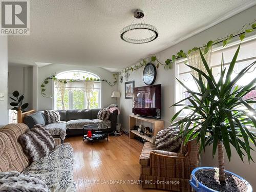 14 Crompton Drive, Barrie (Little Lake), ON - Indoor Photo Showing Living Room With Fireplace