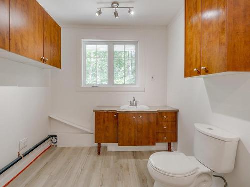 Bathroom - 245 Rue Enchantée, Notre-Dame-De-Montauban, QC - Indoor Photo Showing Bathroom