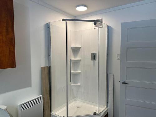Salle de bains - 245 Rue Enchantée, Notre-Dame-De-Montauban, QC - Indoor Photo Showing Bathroom