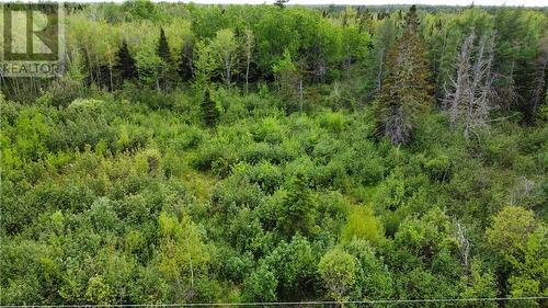 Lot Saint-Athanase, Rogersville, NB 