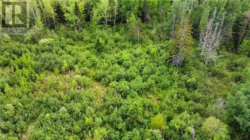 Lot Saint-Athanase, Rogersville, NB 